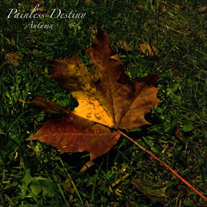 欧美黄色电影网站
