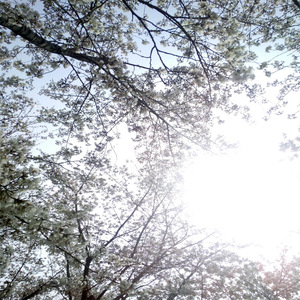 欧美黄色电影网站
